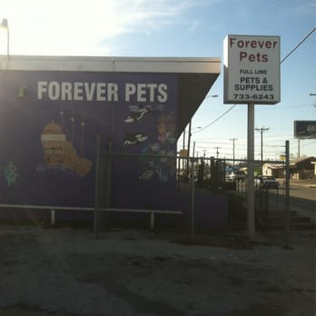 Forever Pets - View for - Pet Services Near Me - San Antonio, Texas Forever Pets - View for - Pet Services Near Me - San Antonio, Texas