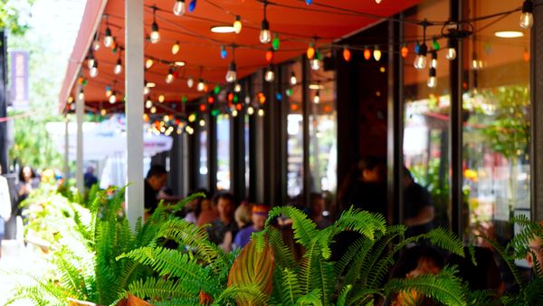 Frontera Grill by null