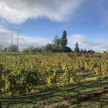 Marchesi Vineyards - Wineries Near Me - Hood River, Oregon