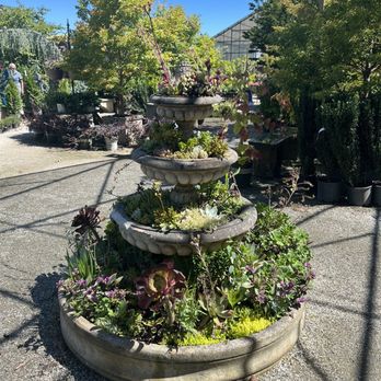 HIGH HAND NURSERY - 641 Photos & 159 Reviews - 3750 Taylor Rd, Loomis, California - Nurseries