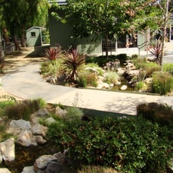 The Country School
