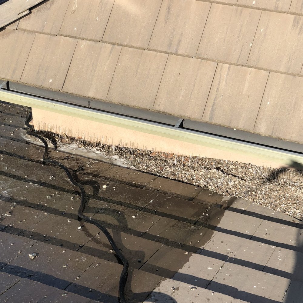 Gilbert The Gutter Guy - Build up of pigeon feces behind turret. - Gutter Services Near Me Gilbert The Gutter Guy - Build up of pigeon feces behind turret. - Gutter Services Near Me
