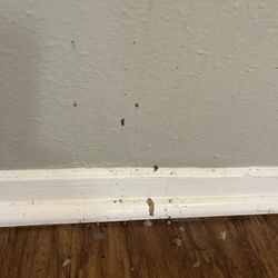 Arlington Oaks Apartment Homes