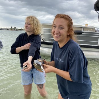 Sea-N-Things - Large conch shells (lil buddy was alive, so we just looked and put him back). - Boating Near Me Sea-N-Things - Large conch shells (lil buddy was alive, so we just looked and put him back). - Boating Near Me
