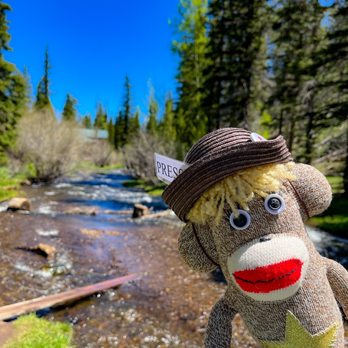 White Mountains Trail System - Little Colorado River in Greer AZ! - Hiking Near Me - Lakeside, Arizona White Mountains Trail System - Little Colorado River in Greer AZ! - Hiking Near Me - Lakeside, Arizona