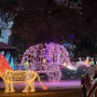 Photo of Layton Commons Park