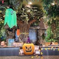 Sarah I Mathias, DDS,MS - Jungle of Smiles - Jungle of Smile office front desk for Halloween