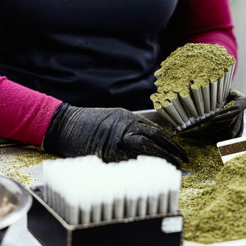 Pecos Valley Production - Cannabis Dispensaries Near Me - Roswell, New Mexico Pecos Valley Production - Cannabis Dispensaries Near Me - Roswell, New Mexico