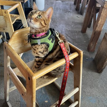 Spoke - Kibby chair - Breakfast & Brunch Near Me - Los Angeles, California Spoke - Kibby chair - Breakfast & Brunch Near Me - Los Angeles, California