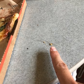Blaze Pizza - More brush hairs. - Pizza Near Me - College Park, Maryland Blaze Pizza - More brush hairs. - Pizza Near Me - College Park, Maryland
