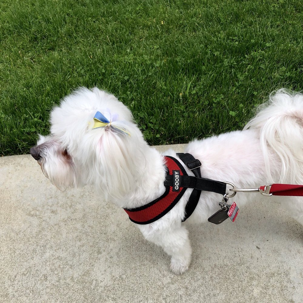 Petco - Pet Stores Near Me - Pasadena, California