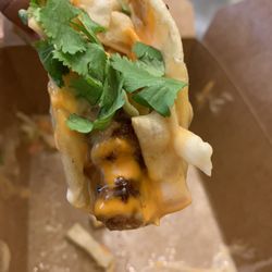 Teriyaki Wonton Chicken!