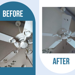 Clean & Polish - Before & After