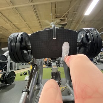 Fitness Evolution - One of their leg press machines. (They have several luckily)! - Gyms Near Me - Laurel, Maryland Fitness Evolution - One of their leg press machines. (They have several luckily)! - Gyms Near Me - Laurel, Maryland