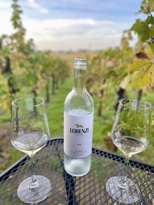 Lorenzi Estate Vineyards & Winery by null