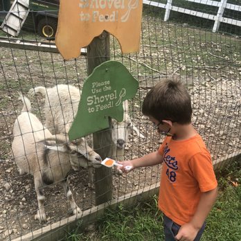 Brookhollow's Barnyard - Feeding animals - Pumpkin Patches Near Me - Boonton, New Jersey