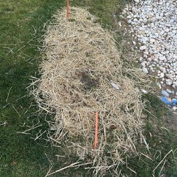 Exposed wire Exposed wire