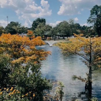 Ogden Park - Is it Fall or Summer? - Dog Parks Near Me - Wilmington, North Carolina