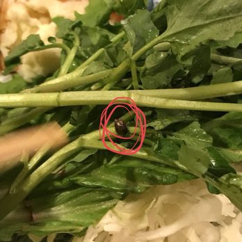 Teppay - Sushi Bars Near Me - Houston, Texas Teppay - Sushi Bars Near Me - Houston, Texas