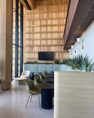 Treehouse by null