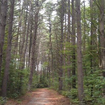 Gates Pond - Trail wraps around the entire pond - Hiking Near Me - Berlin, Massachusetts Gates Pond - Trail wraps around the entire pond - Hiking Near Me - Berlin, Massachusetts