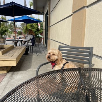 Noah's NY Bagels - Bagels Near Me - Marina Del Rey, California Noah's NY Bagels - Bagels Near Me - Marina Del Rey, California