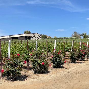 Sidecar Tours - Vines and wines - Wine Tours Near Me - Temecula, California Sidecar Tours - Vines and wines - Wine Tours Near Me - Temecula, California