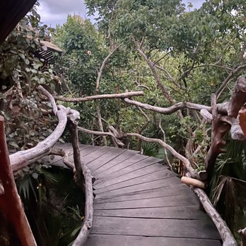 Kin Toh - Yucatan Near Me - Tulum, ROO