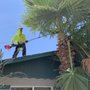 Photo of Carmona Landscaping