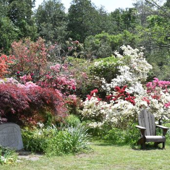 KINNEY AZALEA GARDENS - Updated February 2026 - 59 Photos & 10 Reviews