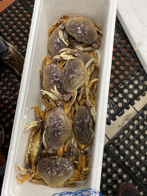 Irving Seafood Market by null