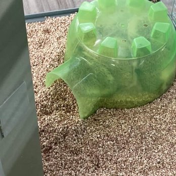 Incredible Pets - Bunched up hedgehogs - Reptile Shops Near Me - Melbourne, Florida Incredible Pets - Bunched up hedgehogs - Reptile Shops Near Me - Melbourne, Florida