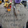 Photo of Glastonbury Memorial Tree