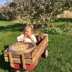 Webber's Apple Orchard - Wagon rides and apple tasting are the best!