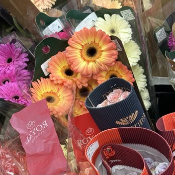 Florida Wholesale Florist - Florists Near Me - Orlando, Florida Florida Wholesale Florist - Florists Near Me - Orlando, Florida
