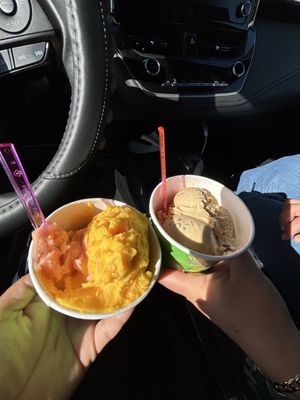 Mateo's Ice Cream & Fruit Bars by null