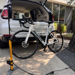 Clown Dog Bikes