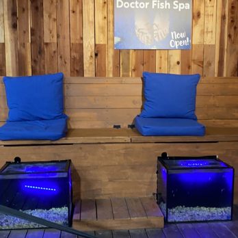 SeaQuest - Folsom - Fish spa $15 - Aquariums Near Me - Folsom, California SeaQuest - Folsom - Fish spa $15 - Aquariums Near Me - Folsom, California