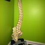 Photo of North Georgia Spine Center