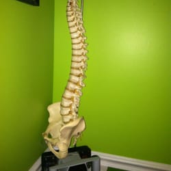 North Georgia Spine Center