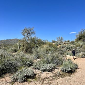 Bartlett Lake - Hiking Near Me - Scottsdale, Arizona Bartlett Lake - Hiking Near Me - Scottsdale, Arizona