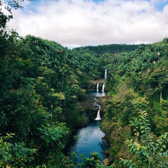 The Umauma Experience - This view though! - Ziplining Near Me - Hakalau, Hawaii The Umauma Experience - This view though! - Ziplining Near Me - Hakalau, Hawaii