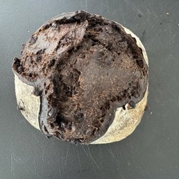 Chocolate sourdough