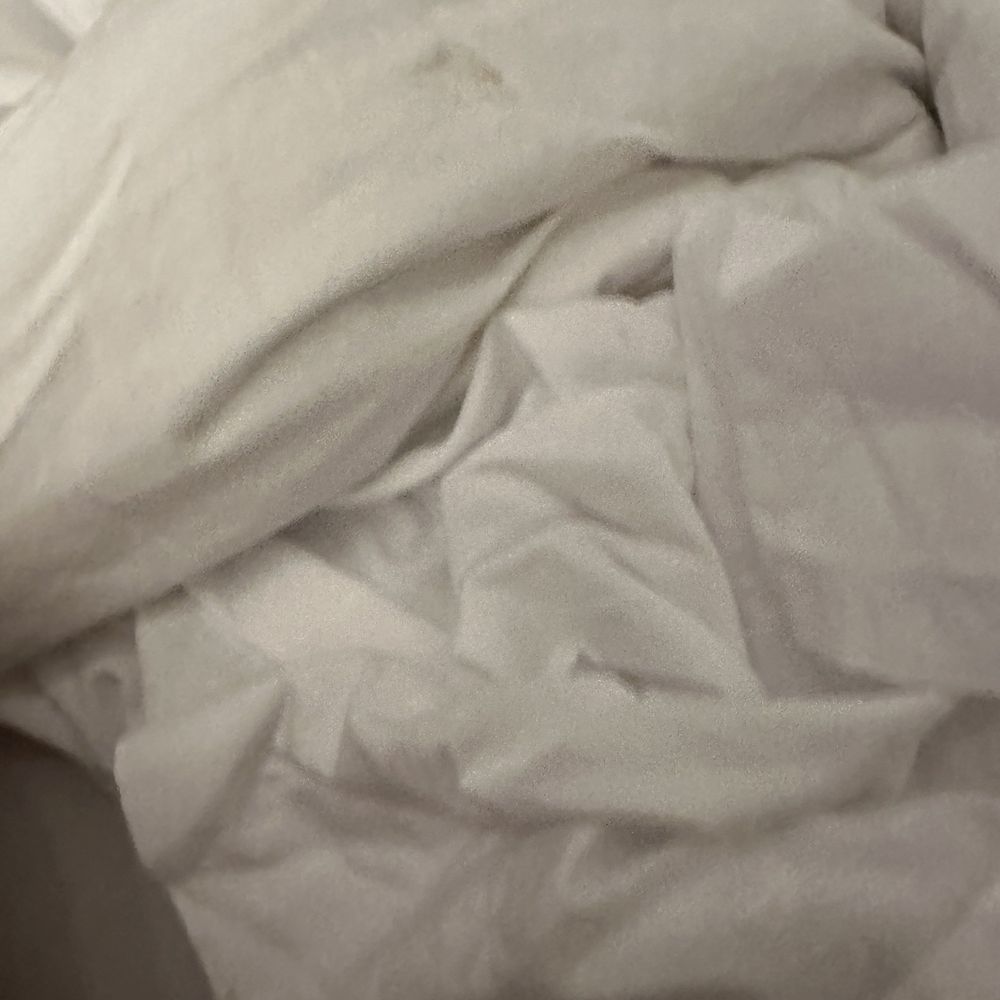 Poop stained comforter? Poop stained comforter?