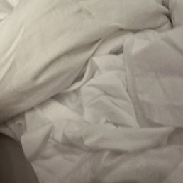 Poop stained comforter? Poop stained comforter?