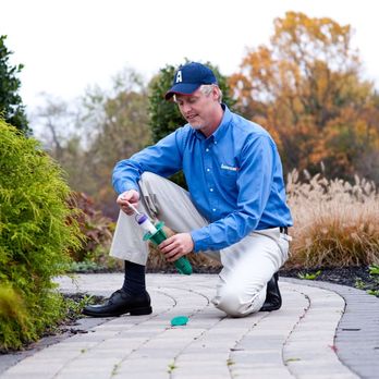 American Pest - Environmentally friendly termite control solutions. *termite control *termite extermination *termite removal *termite treatment *termites - Pest Control Near Me - Richmond, Virginia