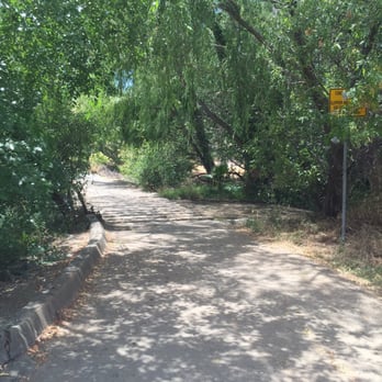 Newhall Community Park - In the path - Dog Parks Near Me - Concord, California