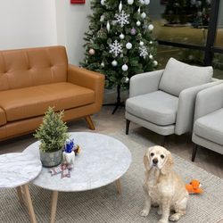 Elyson Family Dental - Waiting area