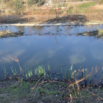 Upper Guadalupe River Trail - Hiking Near Me - San Jose, California
