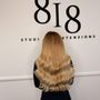 818 Studio of Extensions